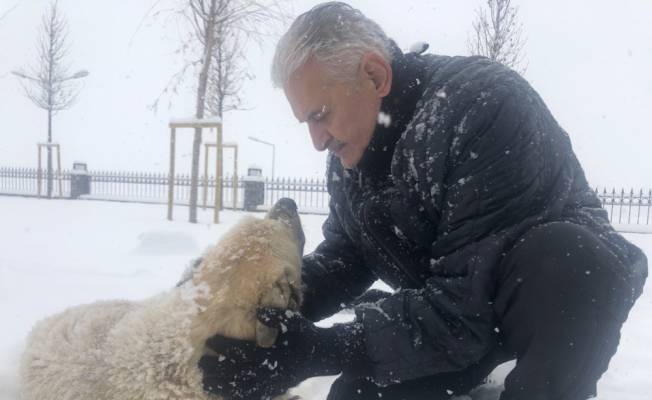 AK Parti İzmir Milletvekili Binali Yıldırım, kardan kapanan köy yollarını açan personele tatlı ikram etti