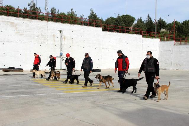 İzmir’in cesur köpekleri göreve hazır