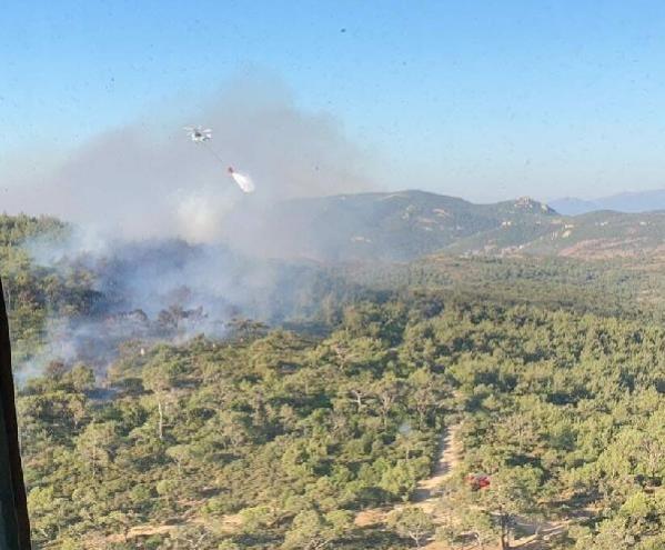 Foça’da orman ve makilik yangını, 1 saatte söndürüldü