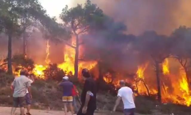 Heybeliada’da çıkan orman yangını için bölge halkı da seferber oldu! İnsanlar su taşıyarak müdahale ediyor