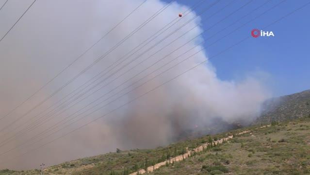 İzmir’deki orman yangını kısmen kontrol altında