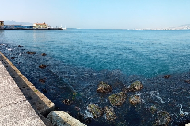 İzmir Körfezi’nde su seviyesi 80 santimetre düştü, deniz ulaşımı aksadı
