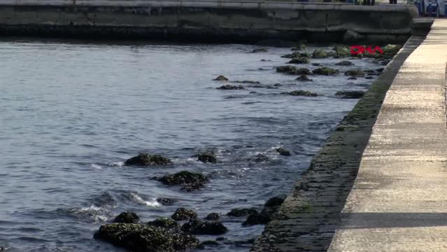 İzmir’de deniz suyu seviyesi azaldı, Pasaport İskelesi kapatıldı