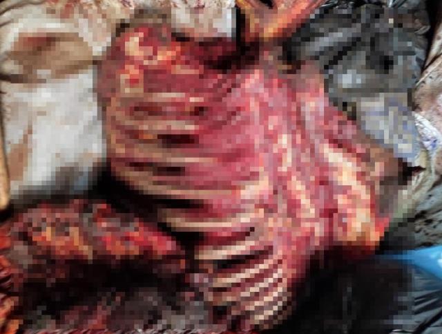 İzmir’de at eti alarmı! 3 bin 660 kilo çürümeye yüz tutmuş at eti ele geçirildi