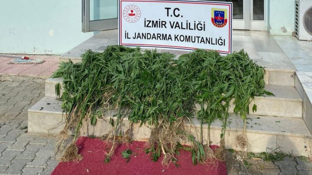 İzmir’de 11 ilçede uyuşturucu operasyonu: 25 şüpheliye işlem