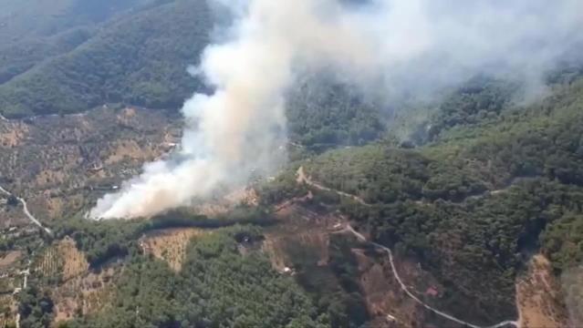 İzmir Kemalpaşa’da Orman Yangını