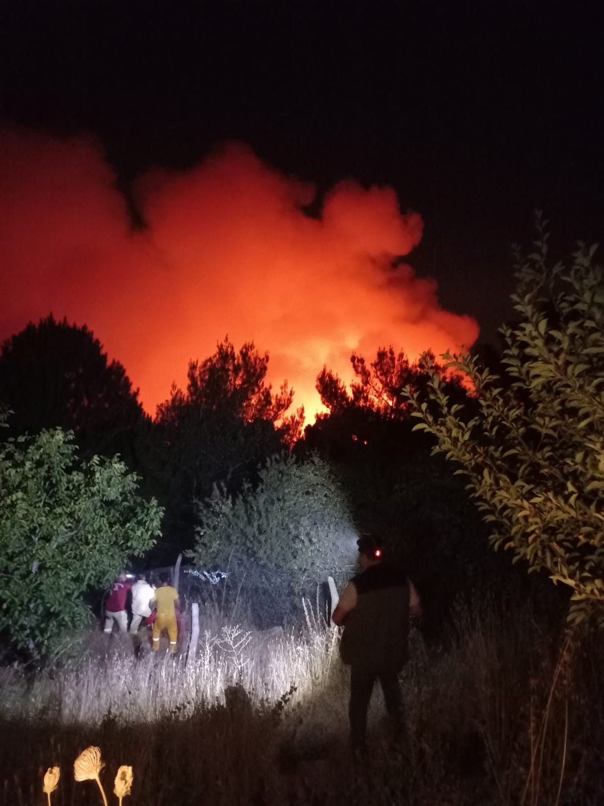 İzmir Karşıyaka’da Yamanlar Dağı’nda Orman Yangını Çıktı