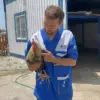 Yangın Mağduru 28 Hayvan Tedavi Altında