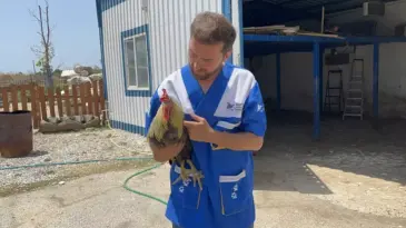 Yangın Mağduru 28 Hayvan Tedavi Altında