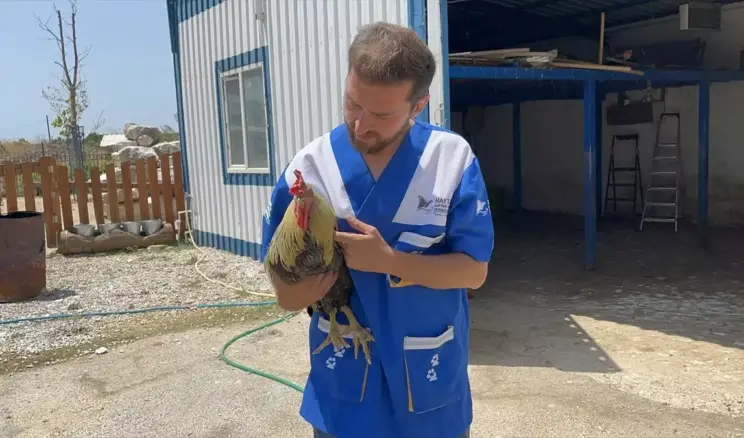Yangın Mağduru 28 Hayvan Tedavi Altında